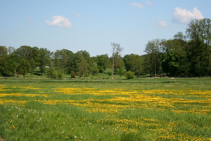 Killikus&reg; Fotographie